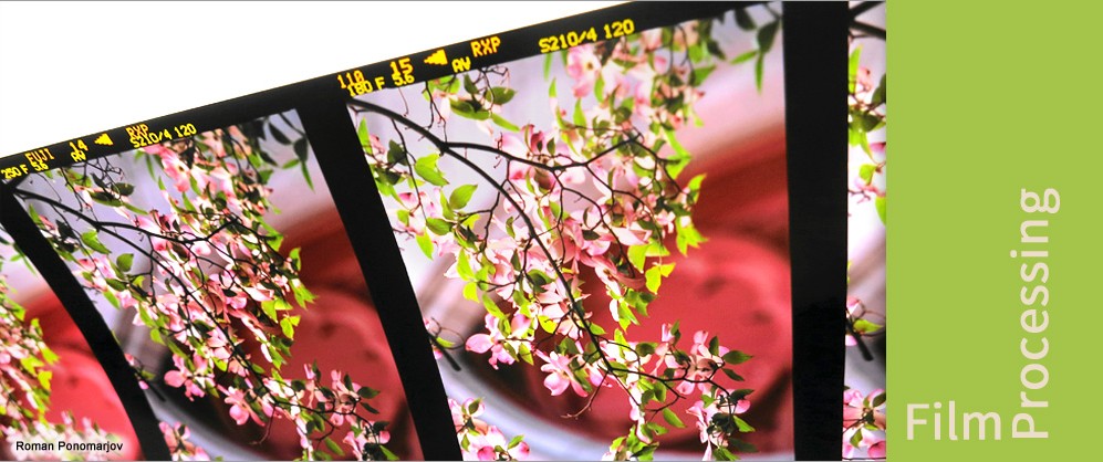 photo-lab-services/film-processing